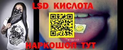 прущие грибы Севастополь