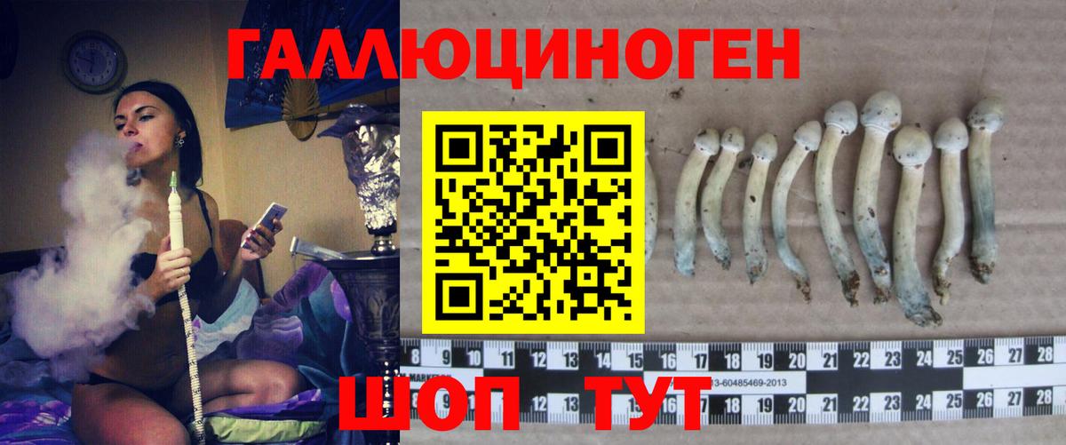 Псилоцибиновые грибы Magic Shrooms Северобайкальск